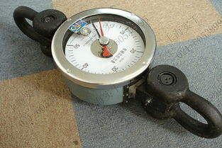 推拉力計(jì) 30公斤大量程推拉力計(jì)