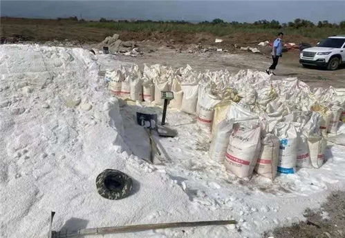 假鹽泛濫，五百余噸地下鹽場被摧毀