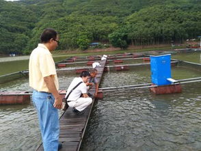 科技賦能促發(fā)展 云南省淡水漁業(yè)產(chǎn)業(yè)體系營(yíng)養(yǎng)與飼料崗位團(tuán)隊(duì)赴墨江專(zhuān)題調(diào)研