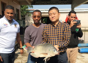 2019年海上絲綢之路國家水生動物健康管理及檢驗檢疫研修班項目圓滿落幕，成果豐碩助力畜牧漁業飼料銷售市場拓展